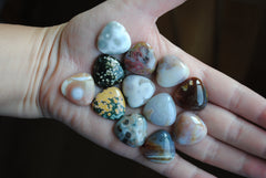 20mm trillion Ocean Jasper cabochons