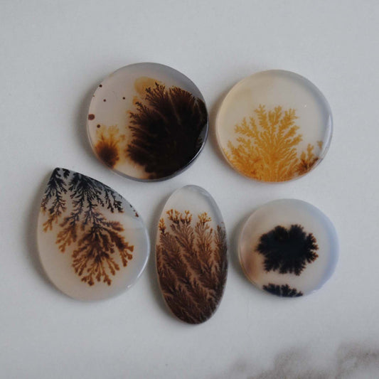 Dendritic agate stone on a light background
