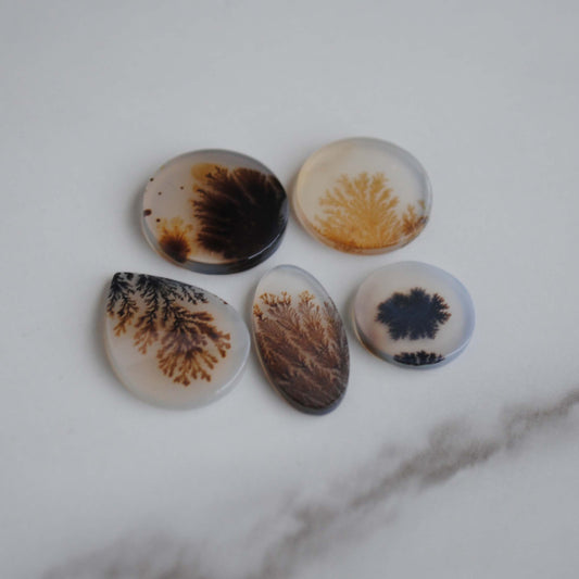 Dendritic agate stone on a light background