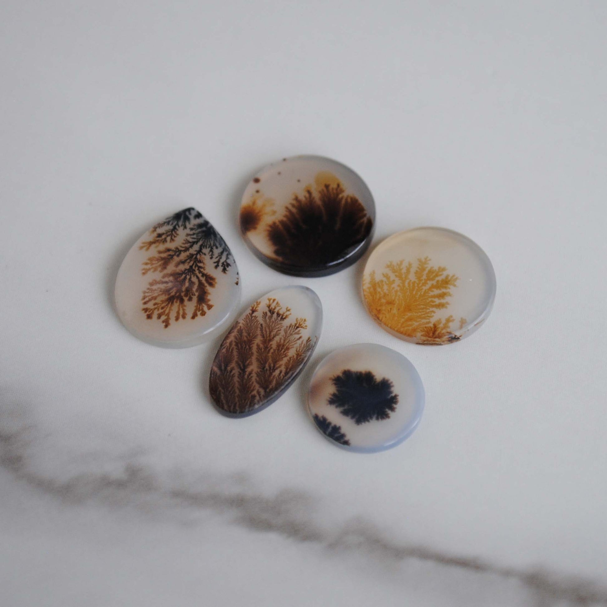 Dendritic agate stone on a light background