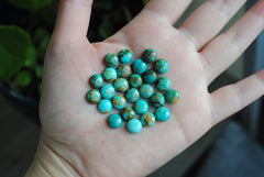 Kingman turquoise cabochons 8mm rounds