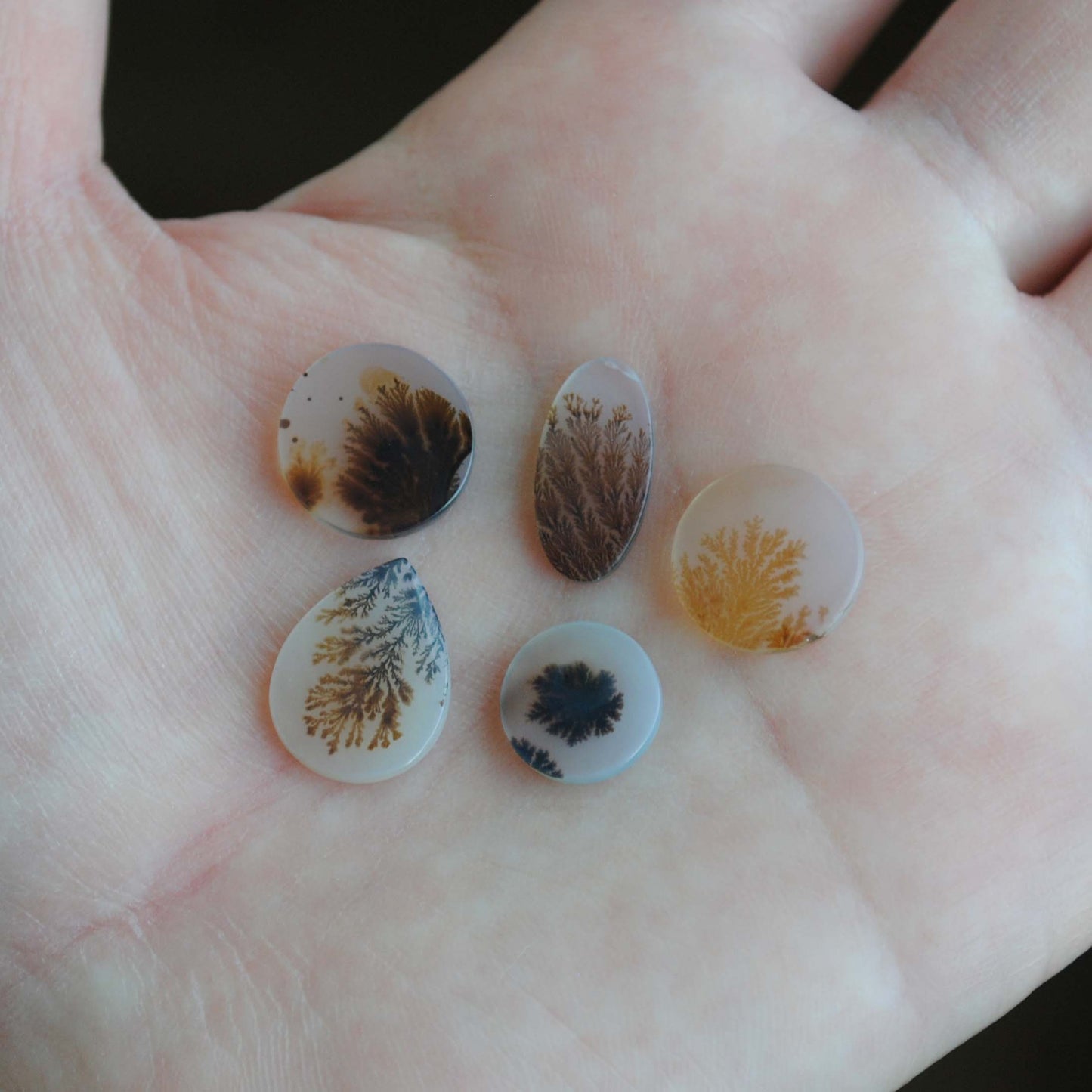 Dendritic agate stone held in palm