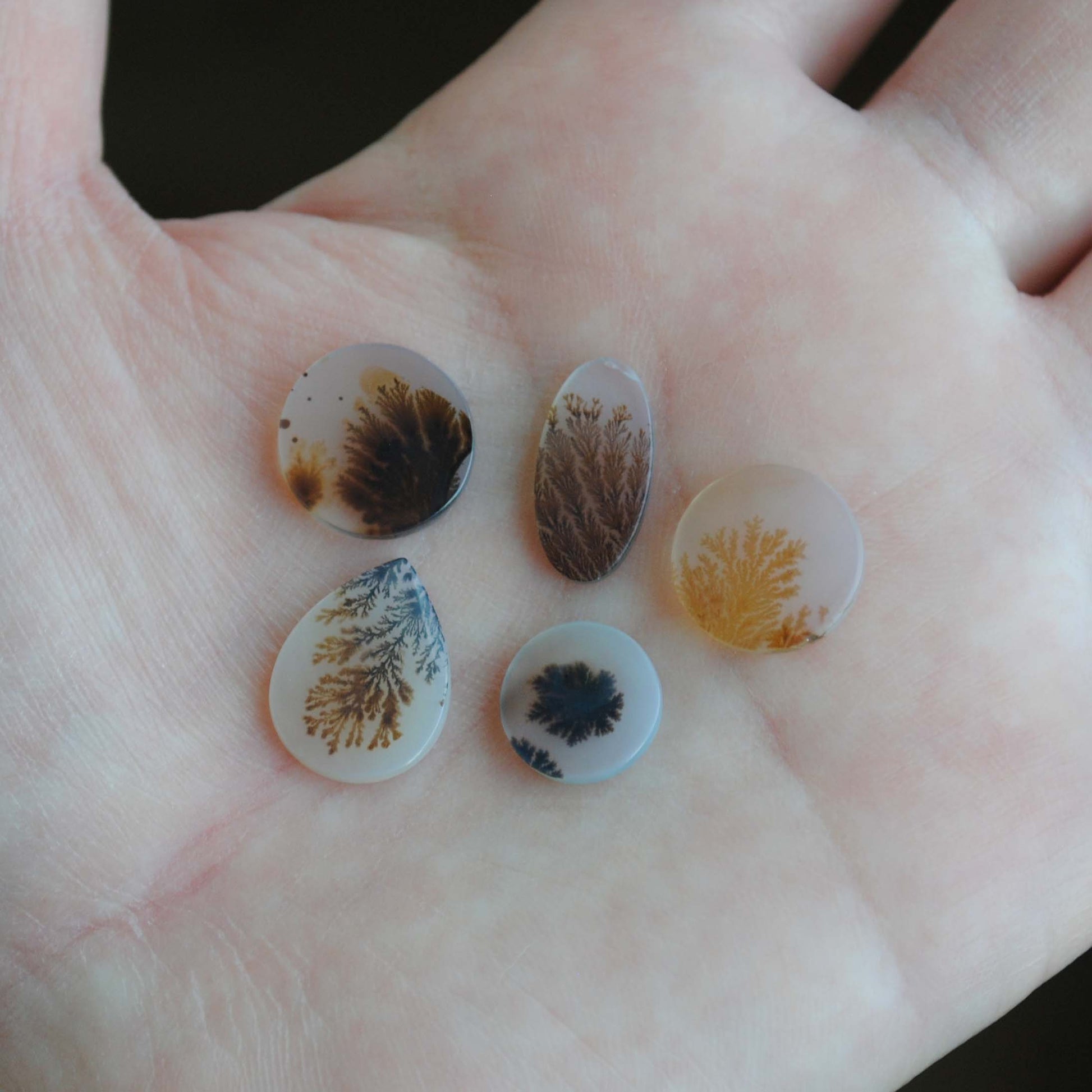 Dendritic agate stone held in palm