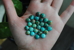 Kingman turquoise cabochons 8mm rounds