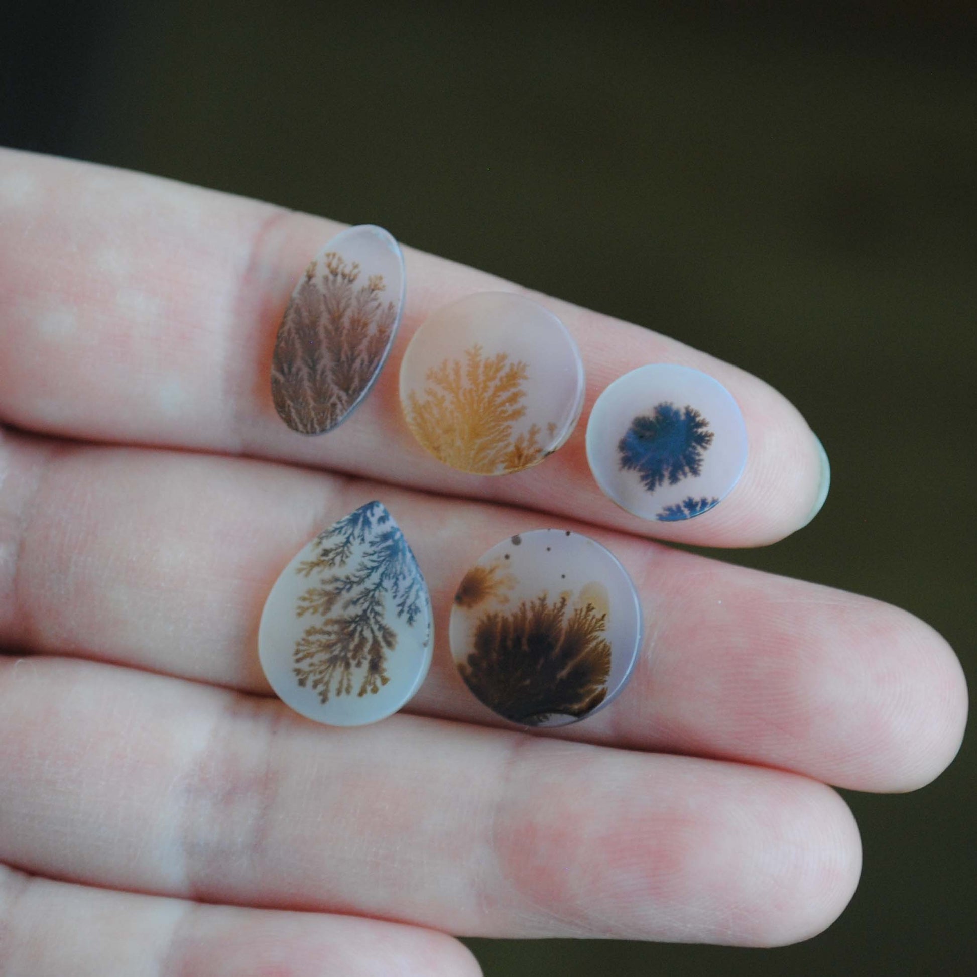 Dendritic agate stone held on fingers