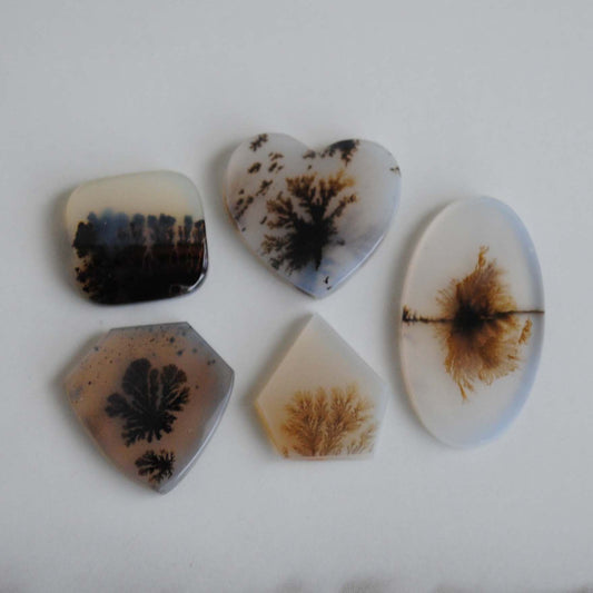 Dendritic agate stone on a light background