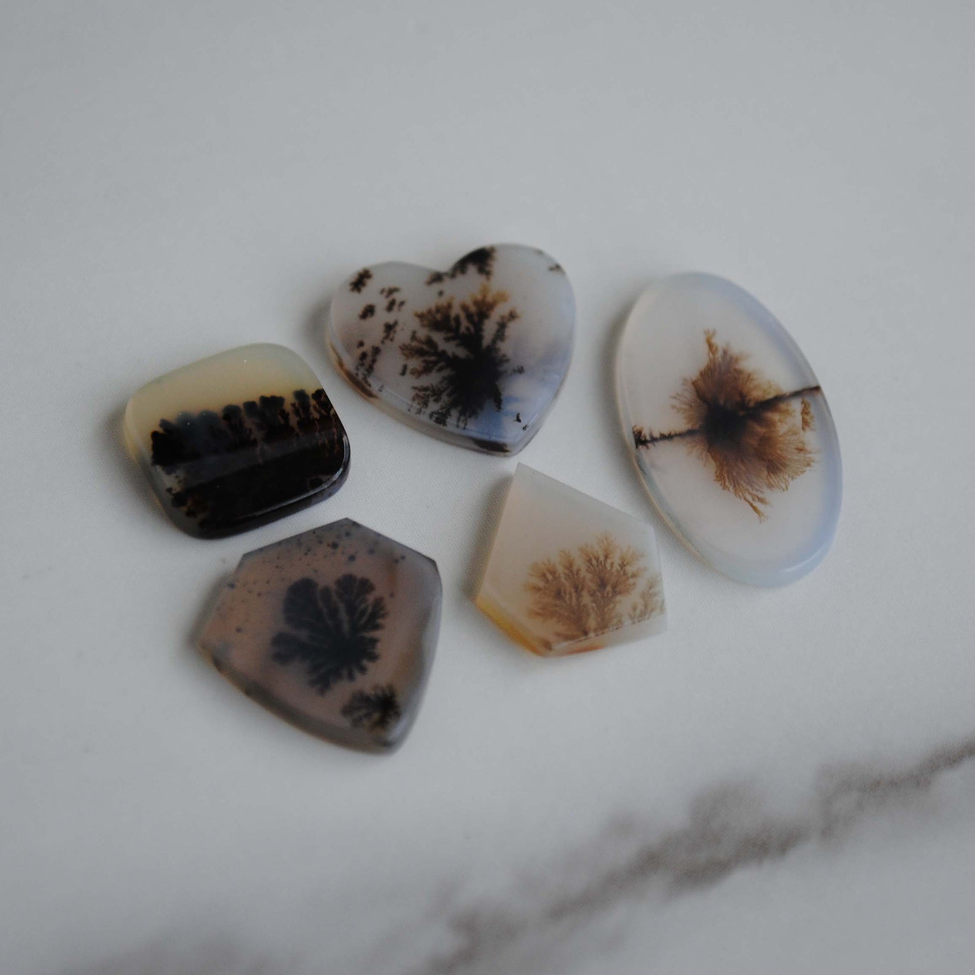 Dendritic agate stone on a light background