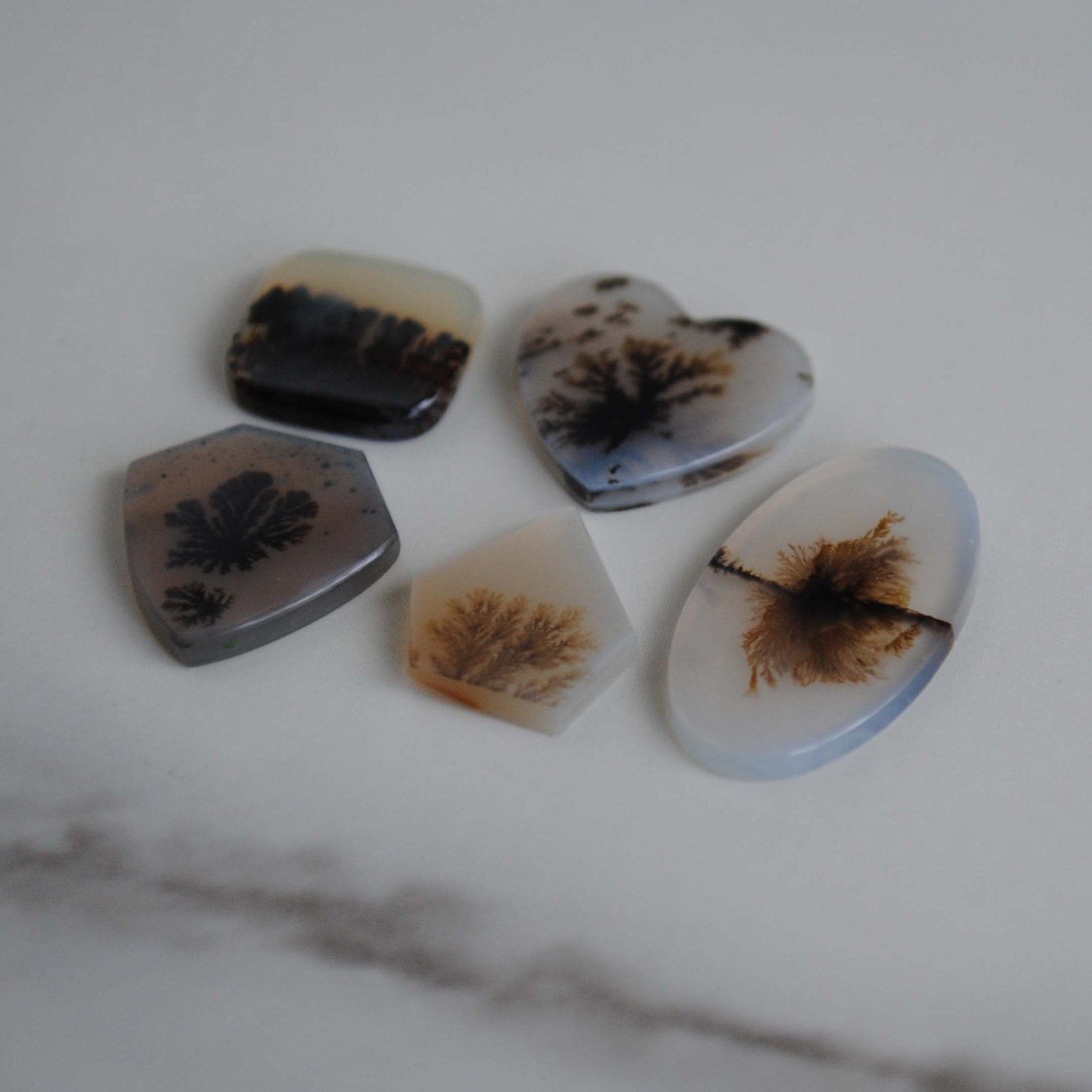 Dendritic agate stone on a light background