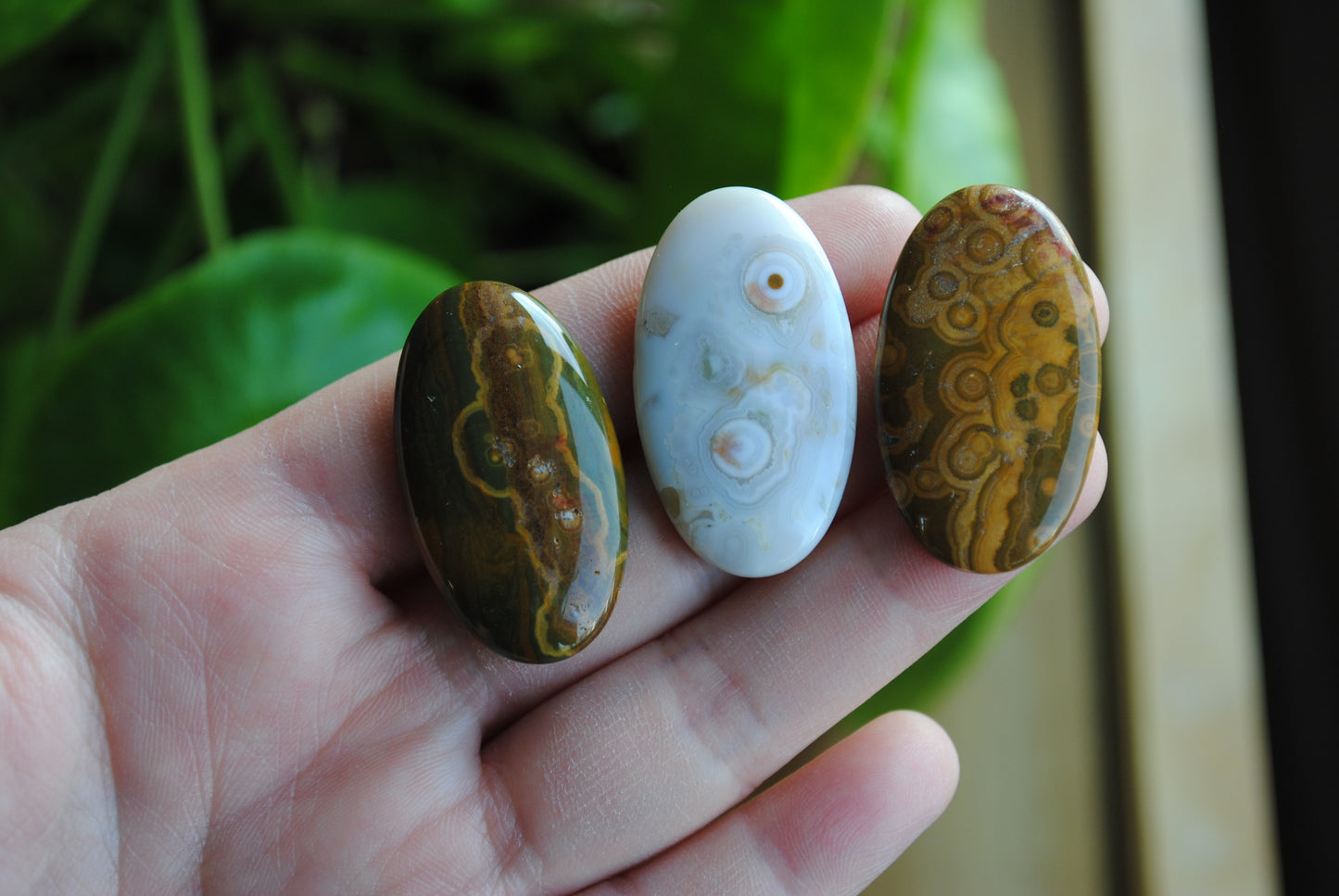 35 x 20mm oval Ocean Jasper cabochons