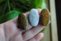 35 x 20mm oval Ocean Jasper cabochons