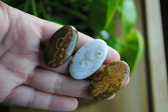 35 x 20mm oval Ocean Jasper cabochons