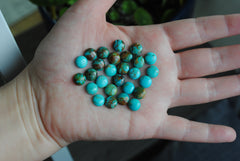 Kingman turquoise cabochons 8mm rounds (lot B)