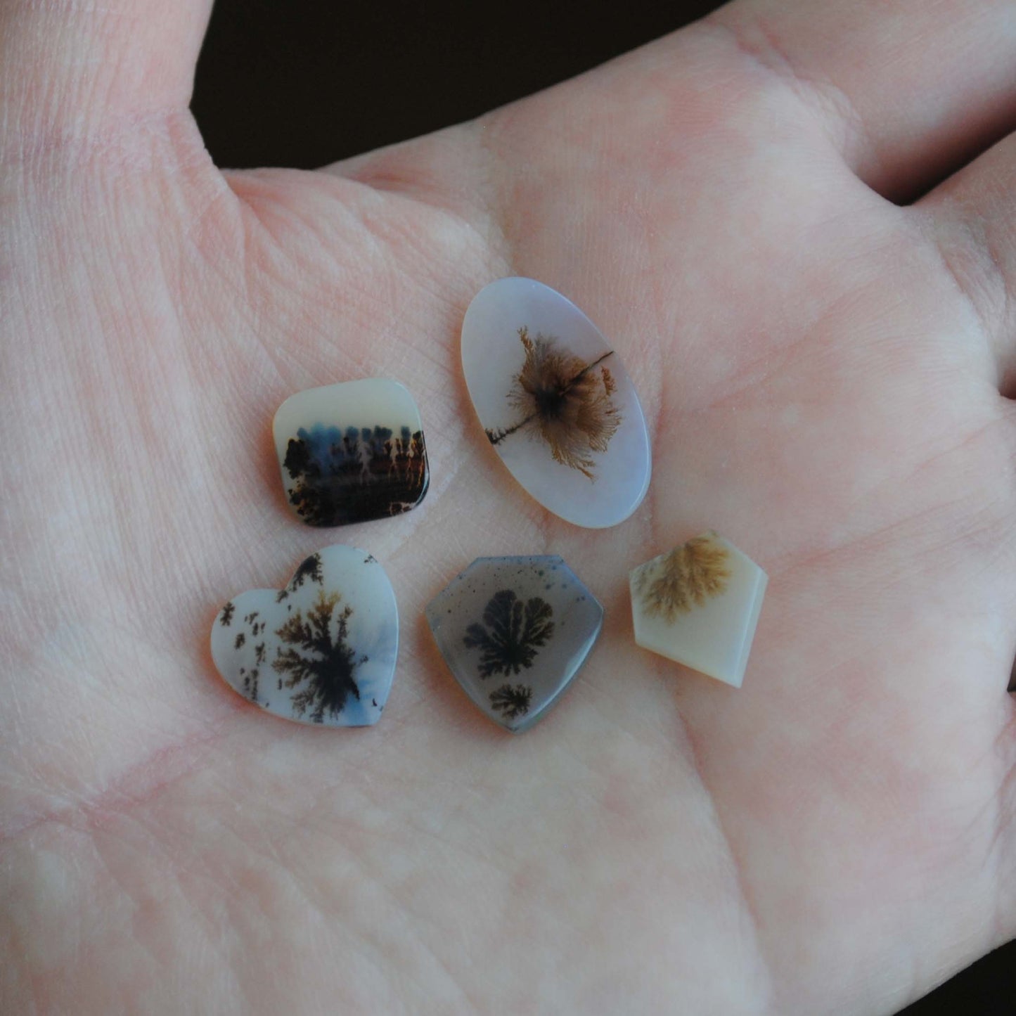 Dendritic agate stone on the palm of a hand