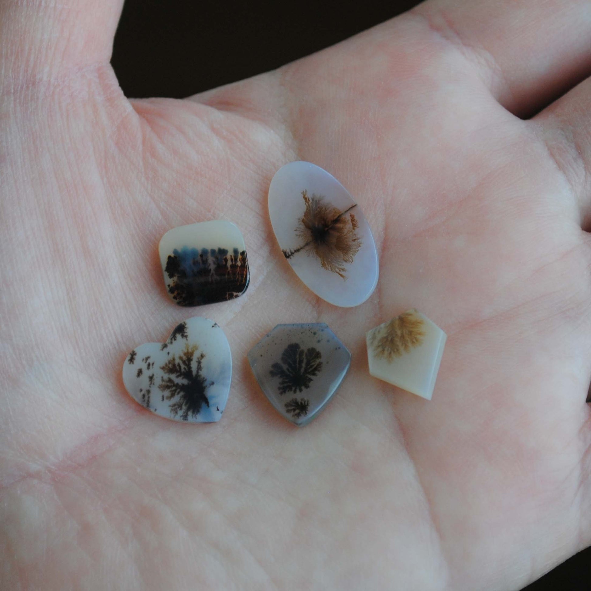 Dendritic agate stone on the palm of a hand