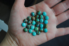 Kingman turquoise cabochons 8mm rounds (lot B)