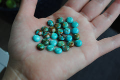 Kingman turquoise cabochons 8mm rounds (lot B)