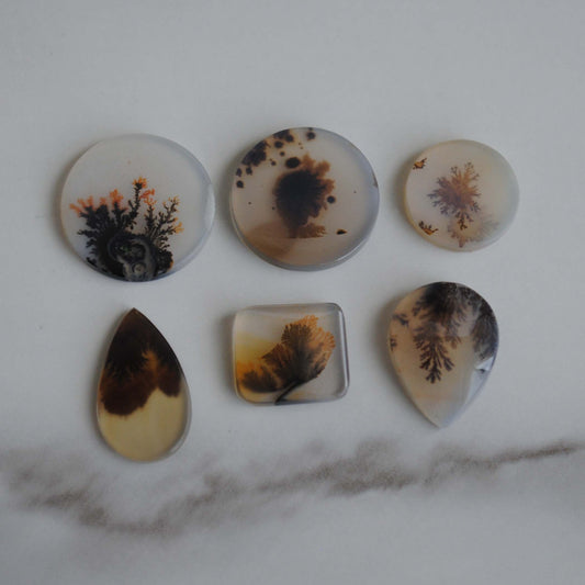 Dendritic agate cabochons (lot L)