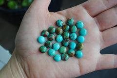 Kingman turquoise cabochons 8mm rounds (lot B)
