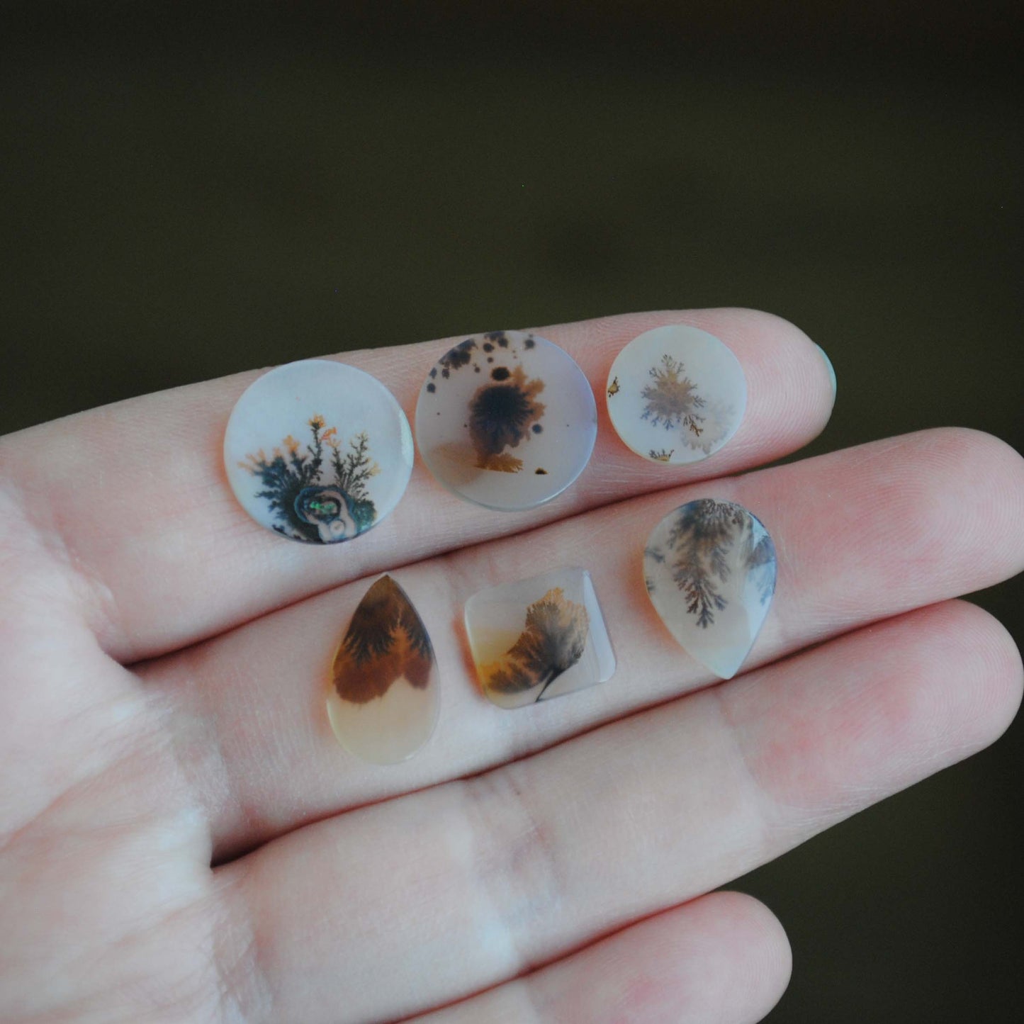 Dendritic agate cabochons (lot L)