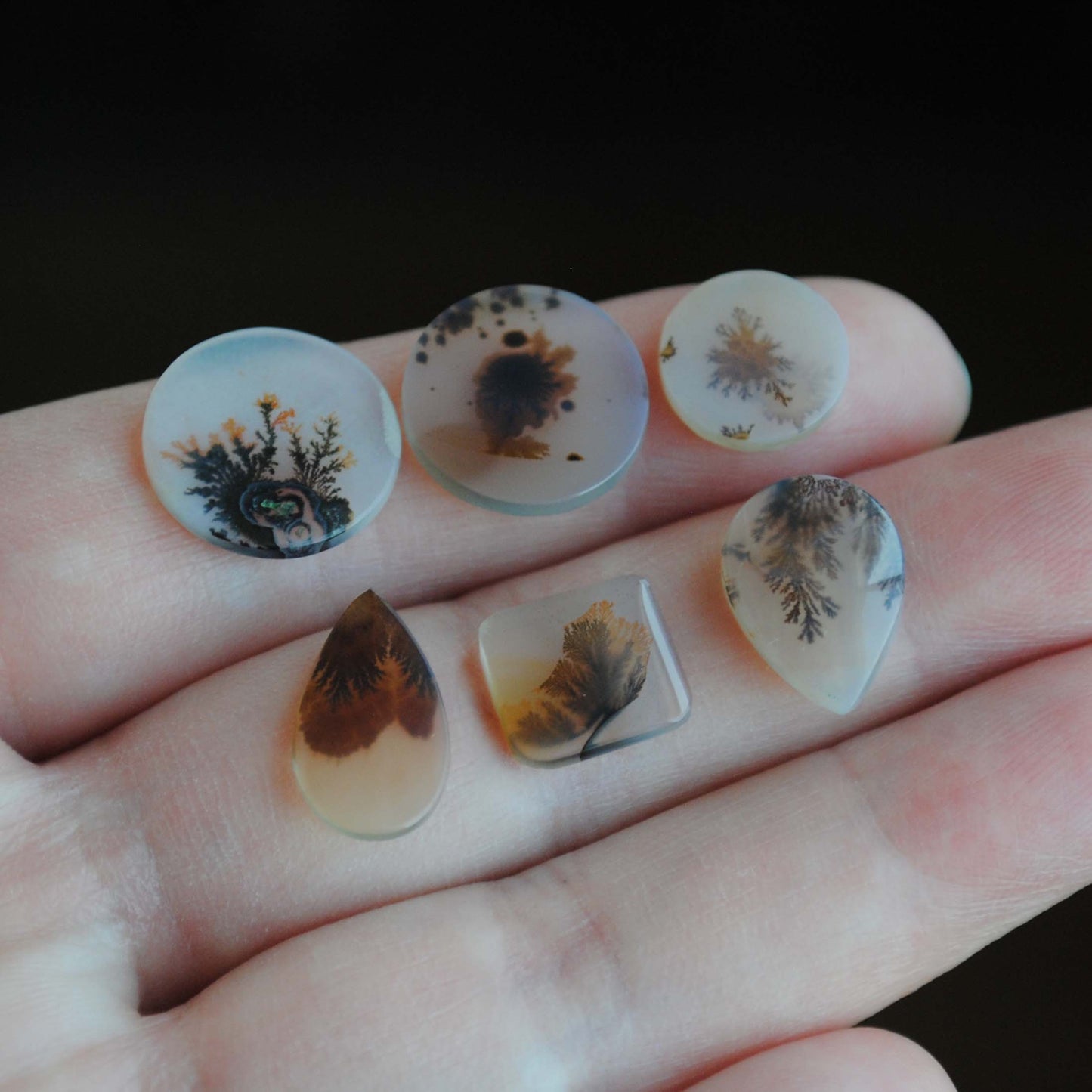 Dendritic agate cabochons (lot L)