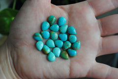 Kingman turquoise cabochons 8x10mm drops/pears (lot A)