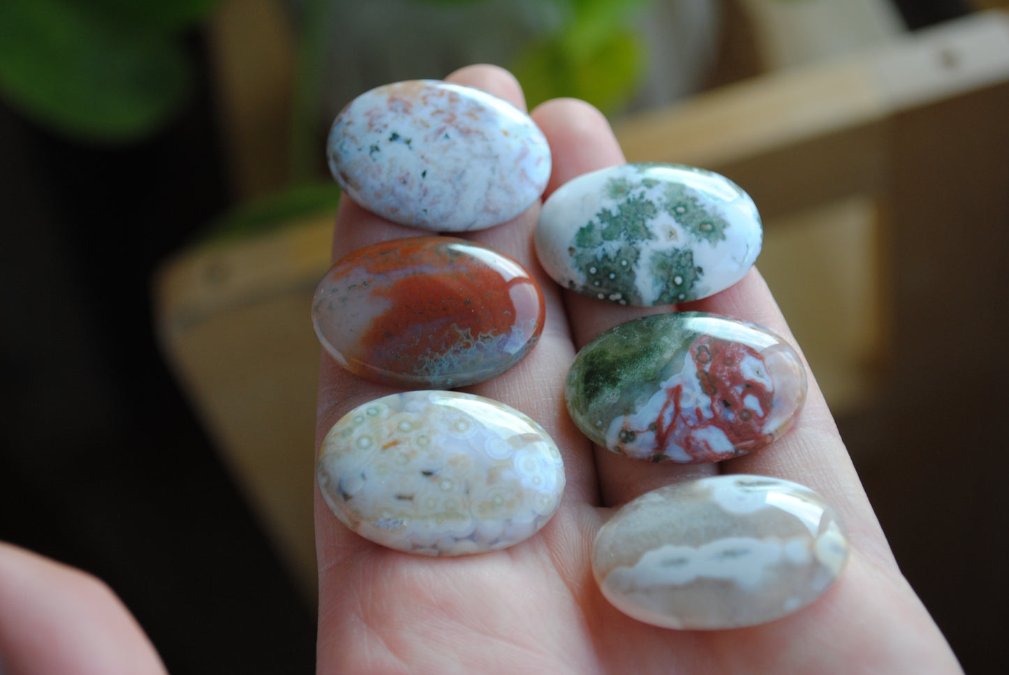 Ocean Jasper 30x22mm oval cabochons