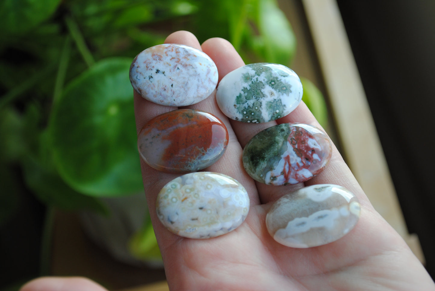Ocean Jasper 30x22mm oval cabochons