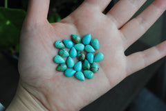 Kingman turquoise cabochons 7x10mm drops/pears (lot aa)