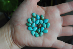 Kingman turquoise cabochons 7x10mm drops/pears (lot aa)