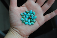 Kingman turquoise cabochons 7x10mm drops/pears (lot aa)