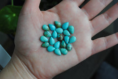 Kingman turquoise cabochons 7x10mm drops/pears (lot aa)