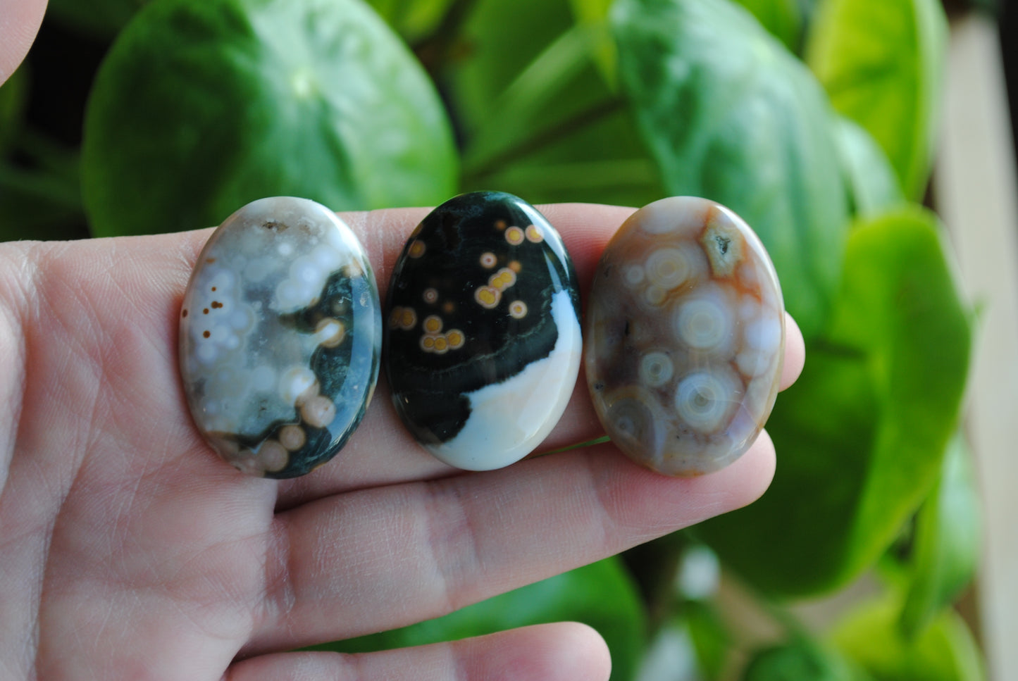 Ocean Jasper 35x25mm oval cabochons (Lot D)