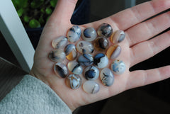 Dendrite agate cabochons (lot G)