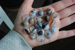 Dendrite agate cabochons (lot G)
