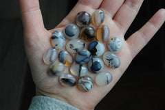 Dendrite agate cabochons (lot G)