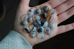 Dendrite agate cabochons (lot G)