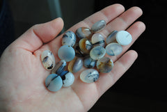 Dendrite agate cabochons (lot G)
