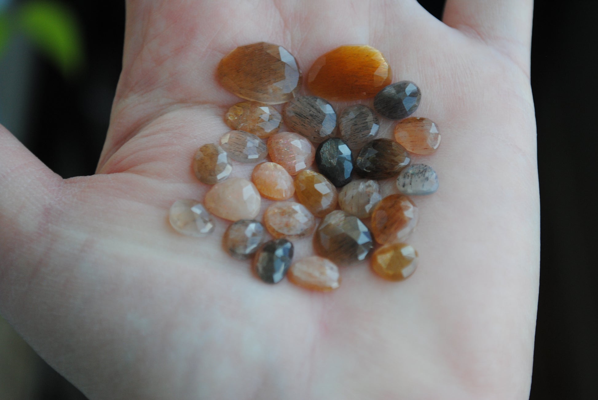Golden sheen moonstone rose cut cabochons on palm of hand