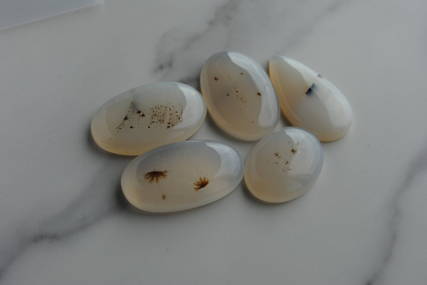 Dendritic agate cabochons (Lot D)