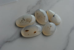 Dendritic agate cabochons (Lot D)