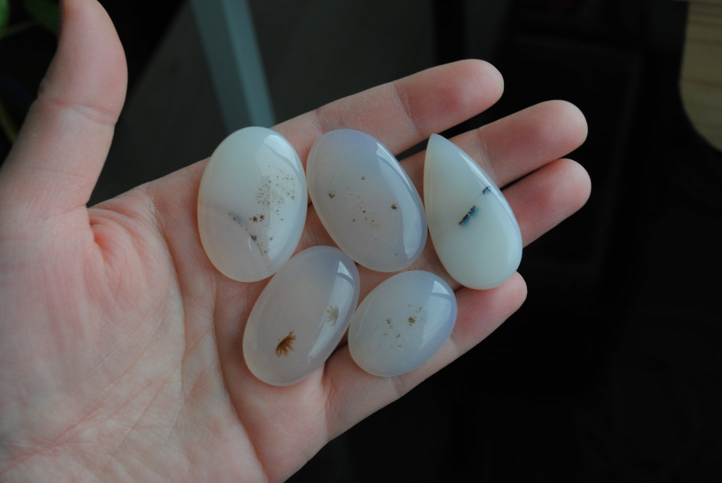 Dendritic agate cabochons (Lot D)