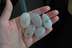 Dendritic agate cabochons (Lot D)