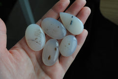 Dendritic agate cabochons (Lot D)