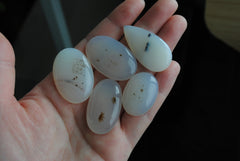 Dendritic agate cabochons (Lot D)