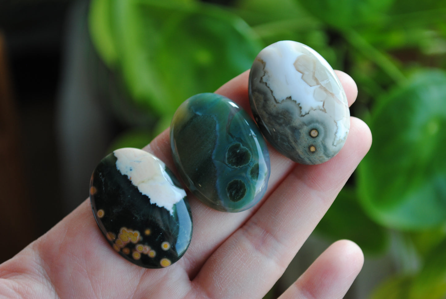 Ocean Jasper 35x25mm oval cabochons (Lot F)