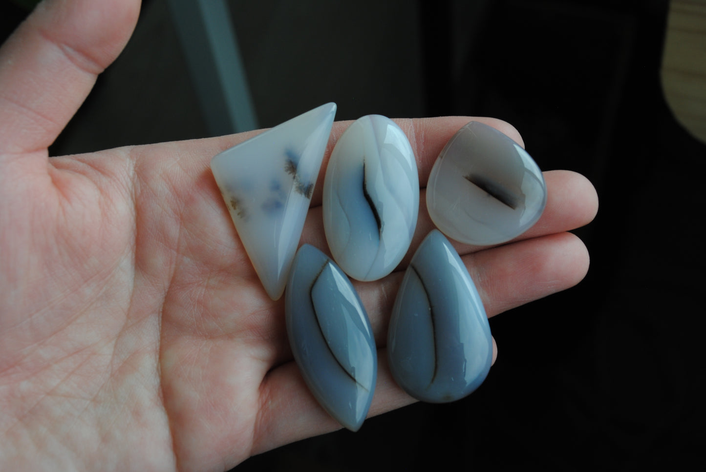 Dendritic agate cabochons (Lot E)