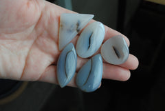 Dendritic agate cabochons (Lot E)
