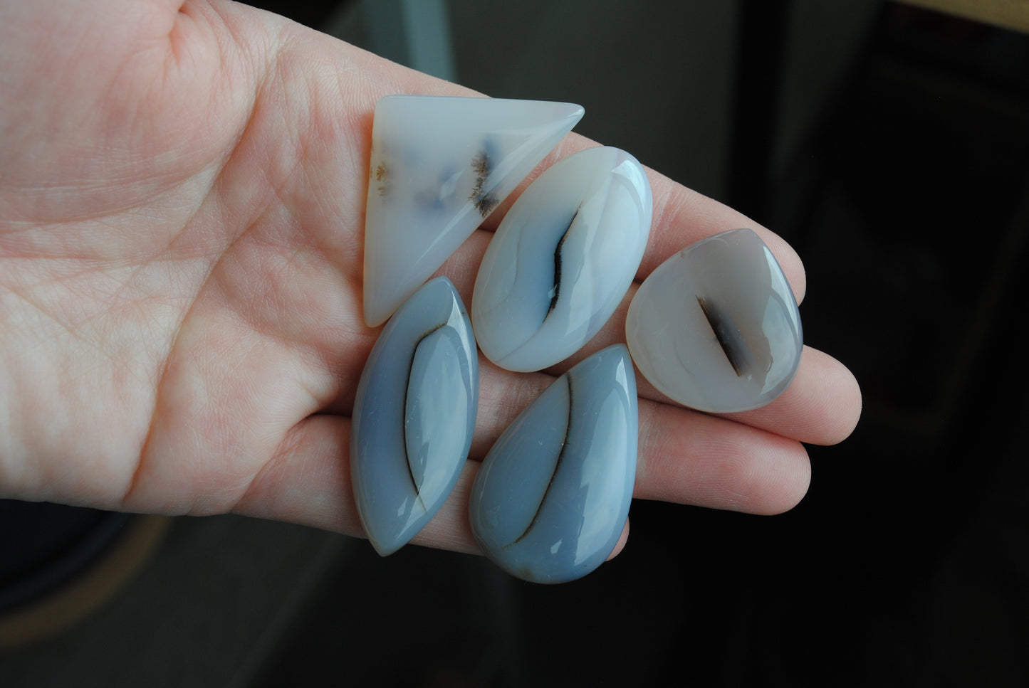 Dendritic agate cabochons (Lot E)