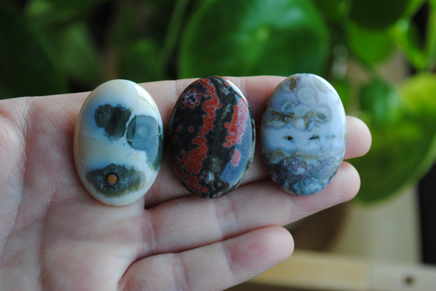 Ocean Jasper 35x25mm oval cabochons (Lot G)