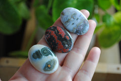 Ocean Jasper 35x25mm oval cabochons (Lot G)